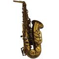 Alto Saxophone Set M89028