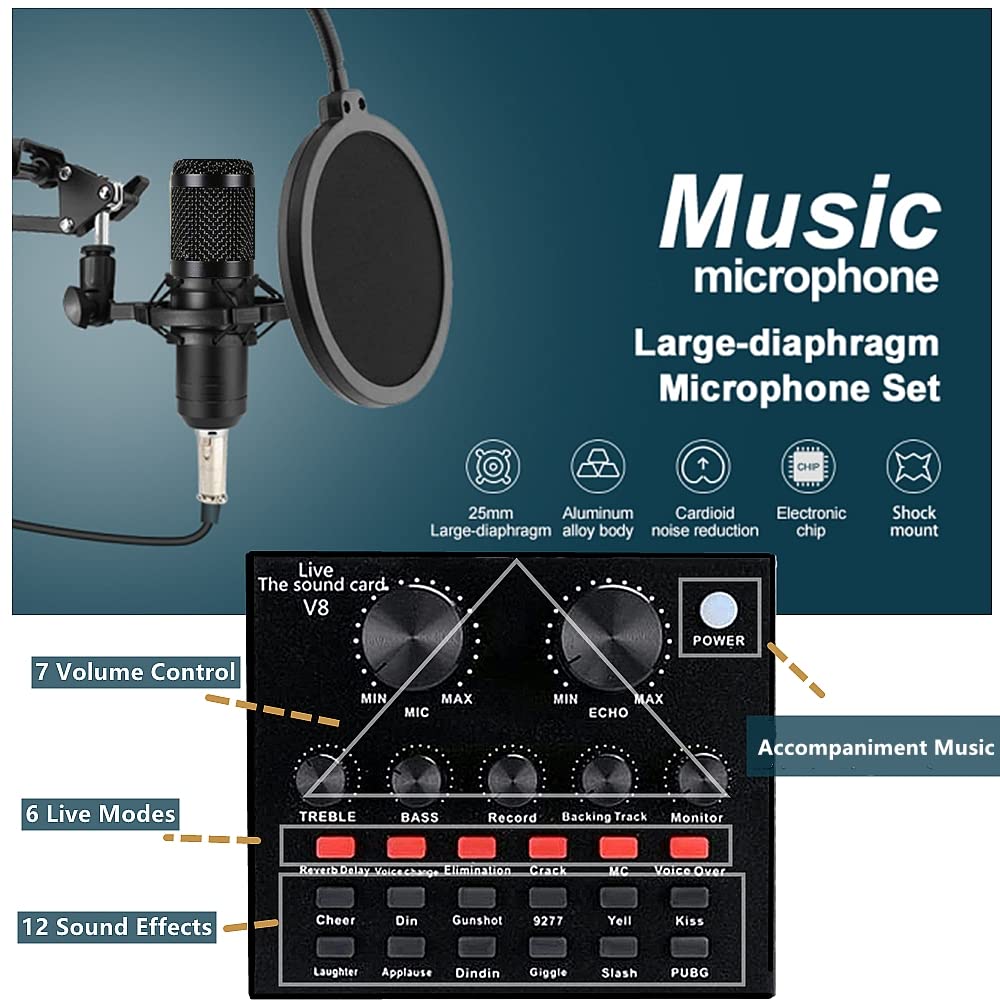 Condenser Microphone Bundle with Voice Changer C3272