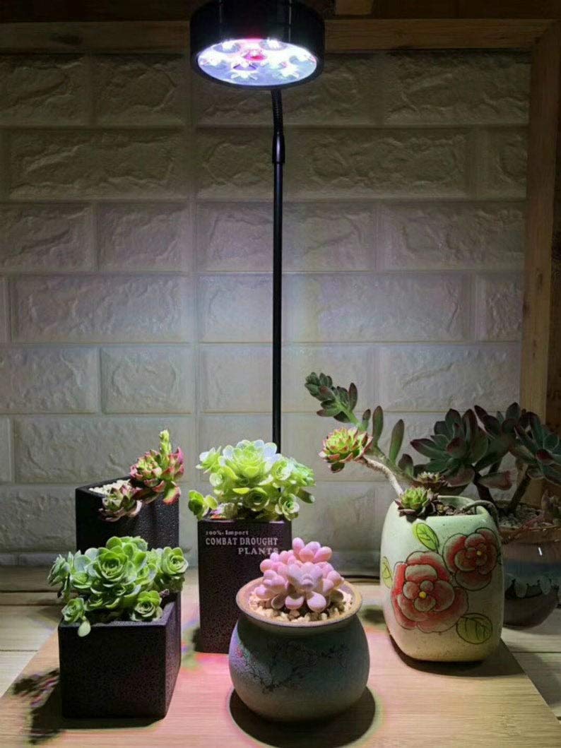 Full Spectrum LED Light with Bamboo Board 5W K9766