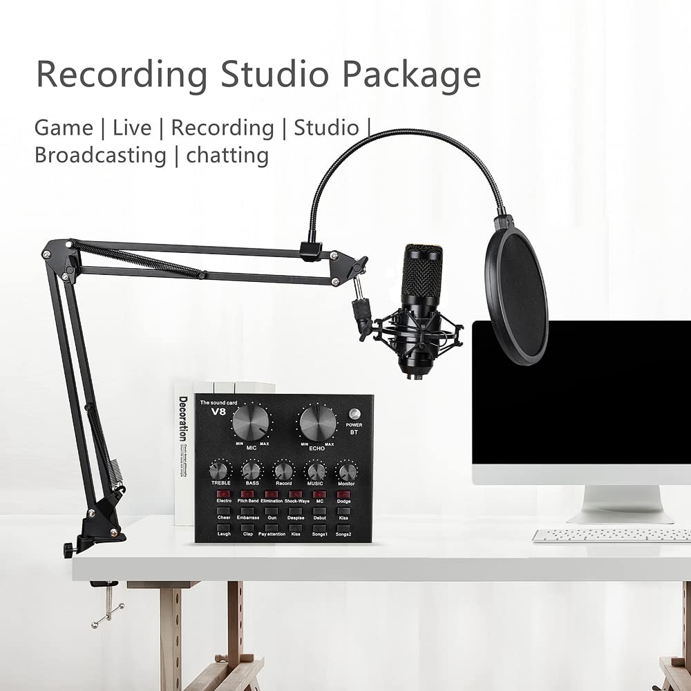 Condenser Microphone Bundle with Voice Changer C3272
