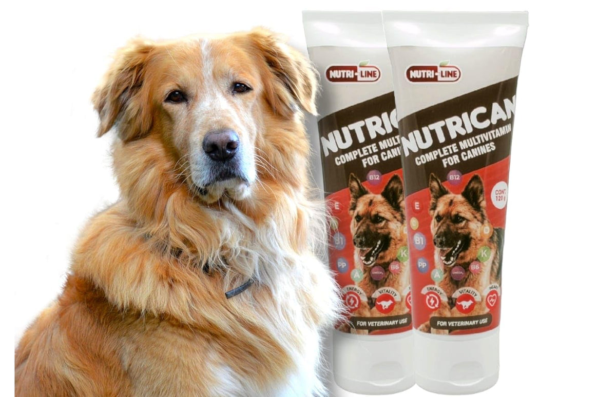 Multivitamin Nutritional Gel for Dogs 4.25 oz L9035