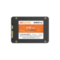 1TB 2.5 SATA III Internal Solid State Drive B52664