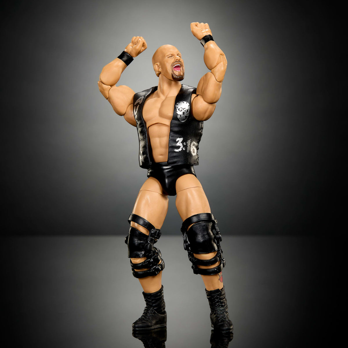 WWE Elite Collection Action Figure & Accessories G546