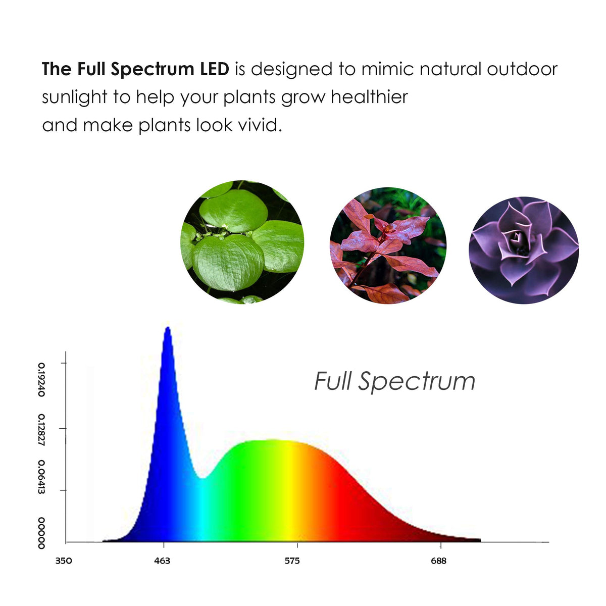 Full Spectrum LED Light with Bamboo Board 5W K9766