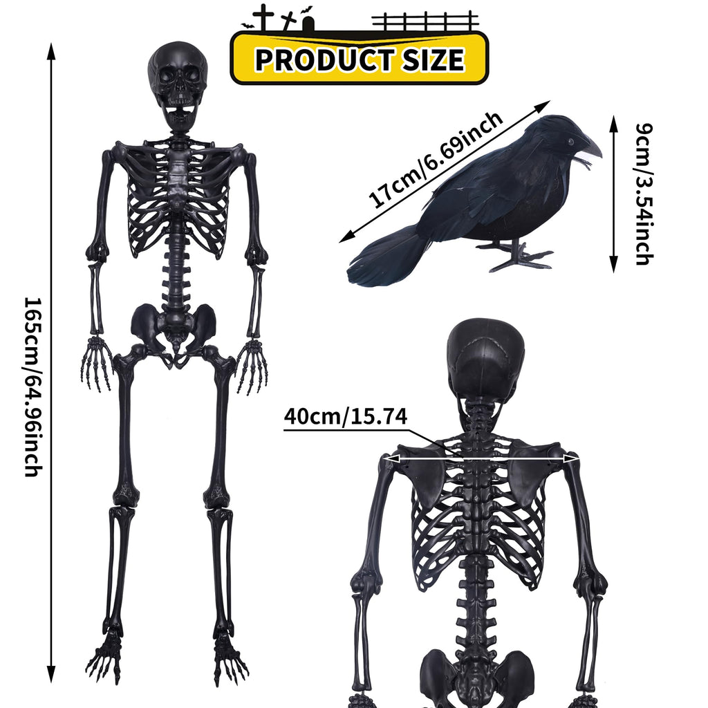 5.4Ft Posable Skeleton with Movable Joints and 2PC Black Feathered Crows A170525