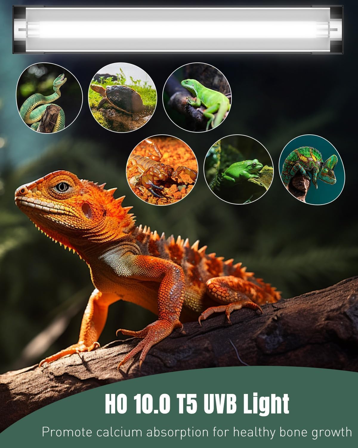 T5 Reptile Light Combo Kit with 2 UVB Tubes, 10.0 UVB Light Fixture, 12 inch W609