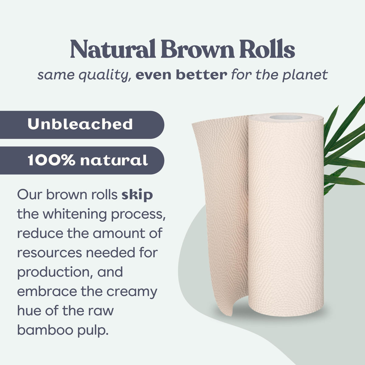 Bamboo Paper Towels 8 Rolls 2 Ply Z2934