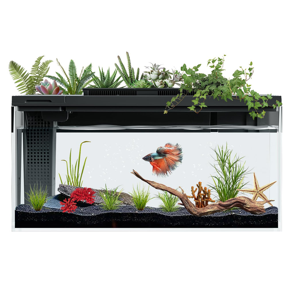 3.7 Gallon Betta Fish Tank Kit with Filter Light Water Pump C607520