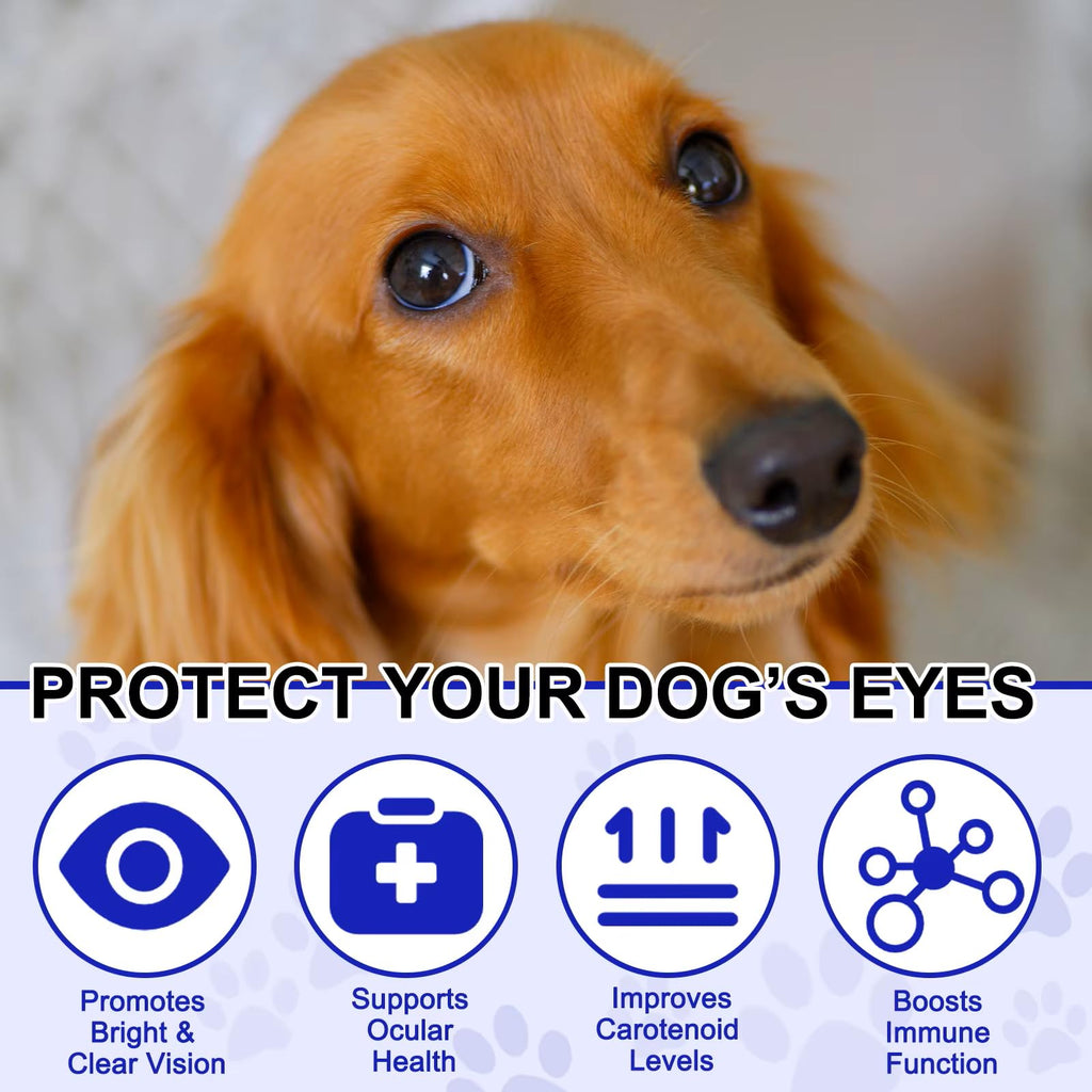 Omega 3 DHA Dog Eye Health Supplements, 180 Count K2522