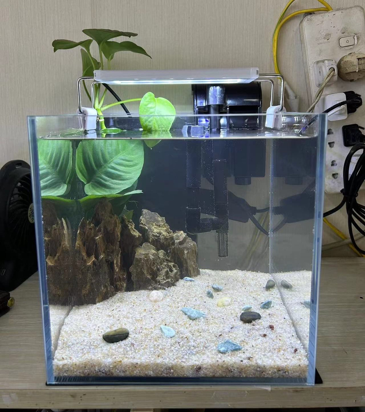 Small Nano Tall Rimless Glass Fish Tank 2 Gallon U955756