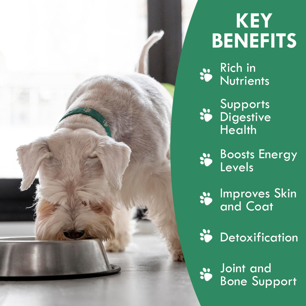 Plant-Based Dog Food Toppers Supplement Powder 50g L394086