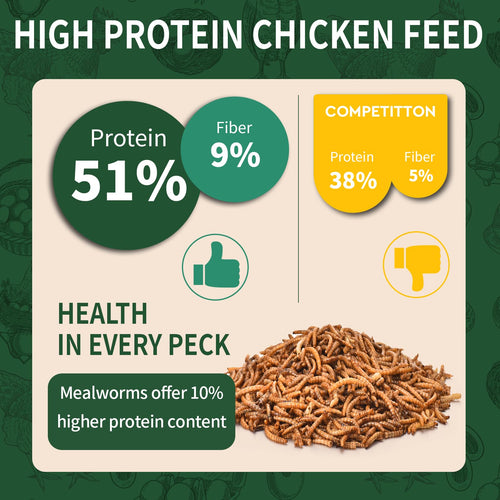 20LB Dried Mealworms B1035