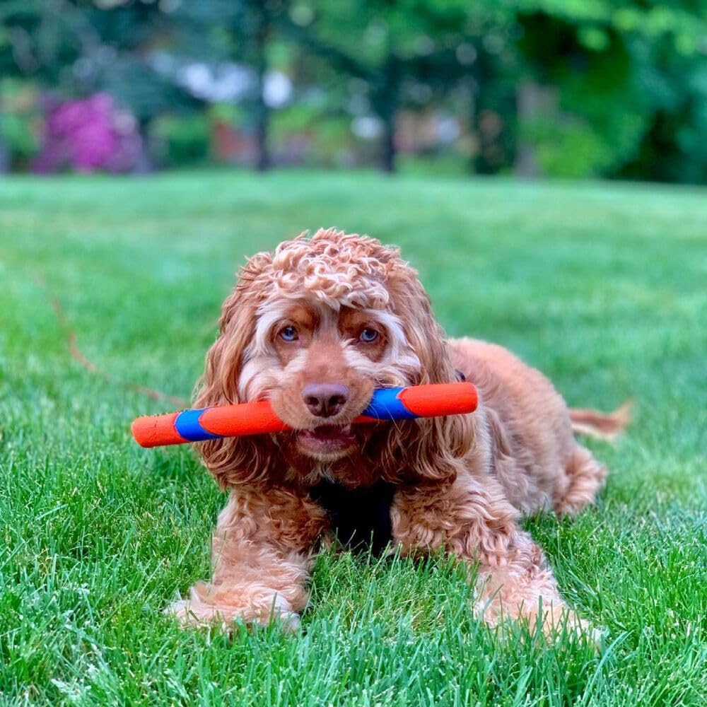Interactive Dog Toy W301