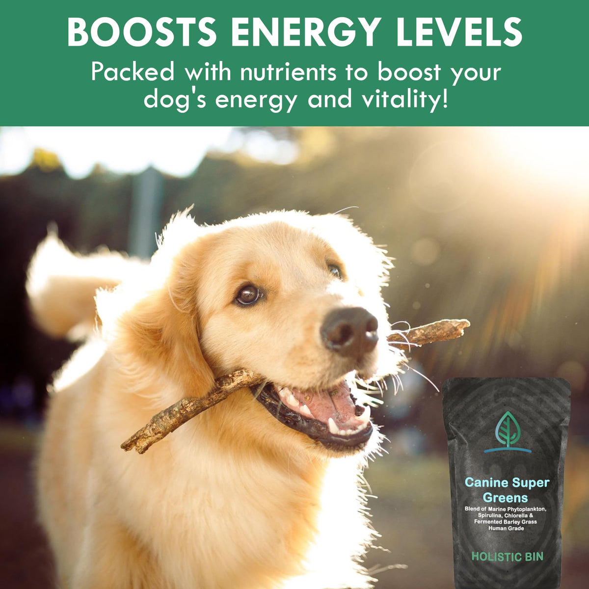 Plant-Based Dog Food Toppers Supplement Powder 50g L394086