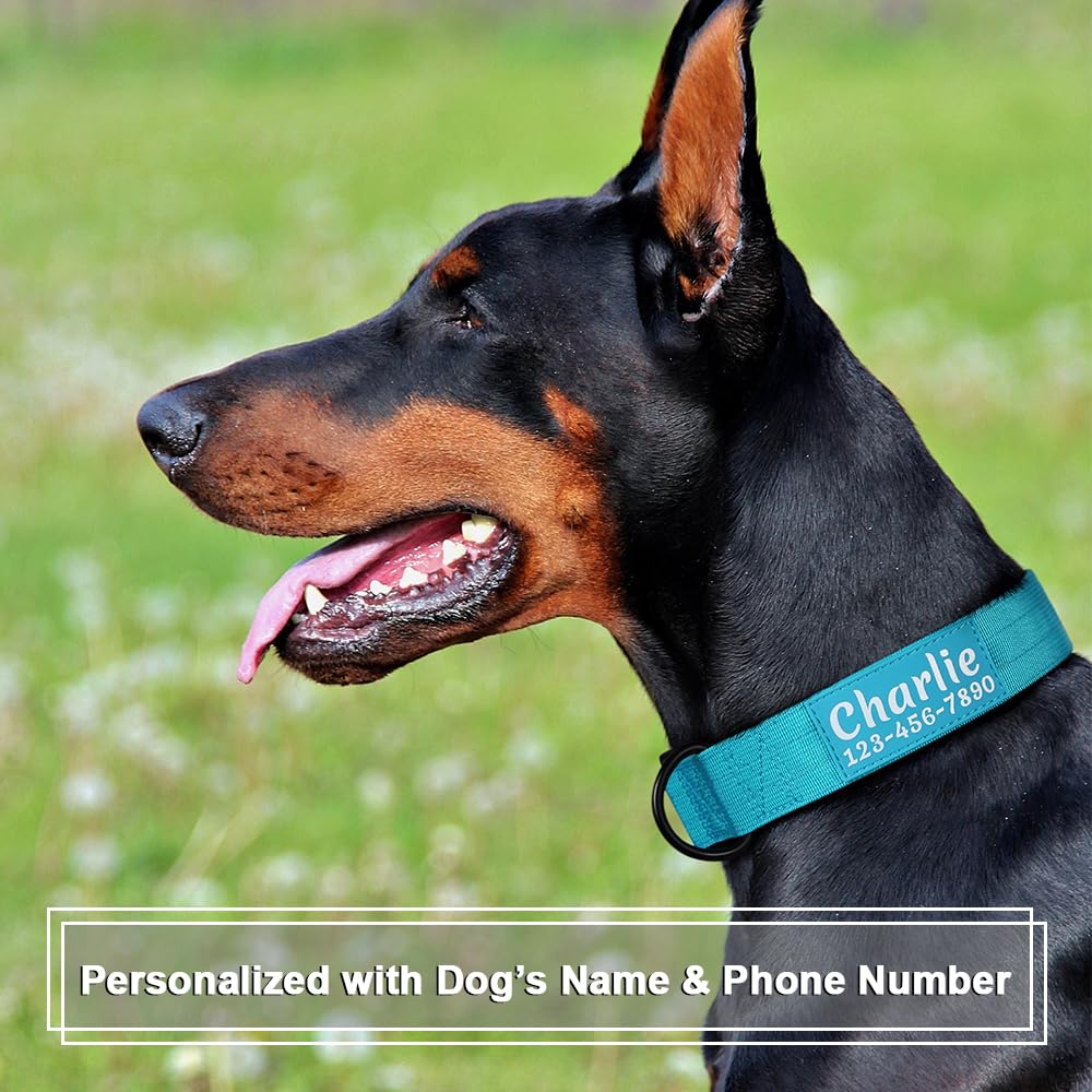Tactical Dog Collar with Name and Phone Number Z4102