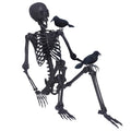 5.4Ft Posable Skeleton with Movable Joints and 2PC Black Feathered Crows A170525