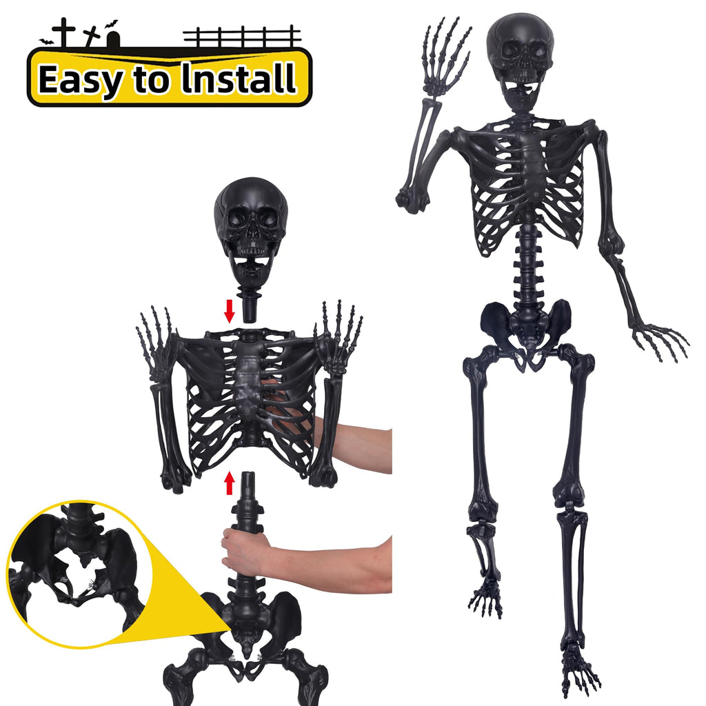 5.4Ft Posable Skeleton with Movable Joints and 2PC Black Feathered Crows A170525
