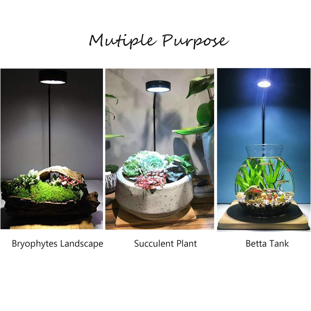 Full Spectrum LED Light with Bamboo Board 5W K9766