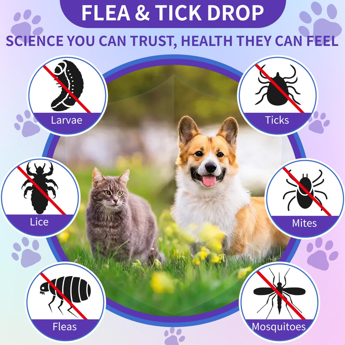 Flea and Tick Support for Dogs and Cats 60ml Z2253