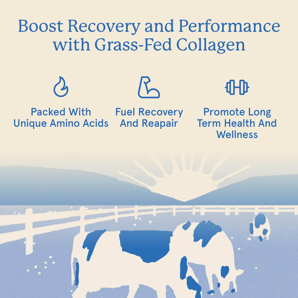 Grass Fed Hydrolyzed Bovine Collagen Peptides Powder R518665