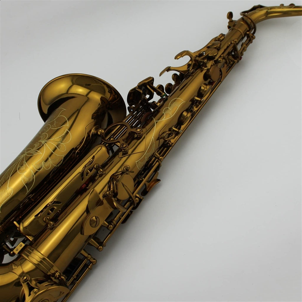 Alto Saxophone Set M89028