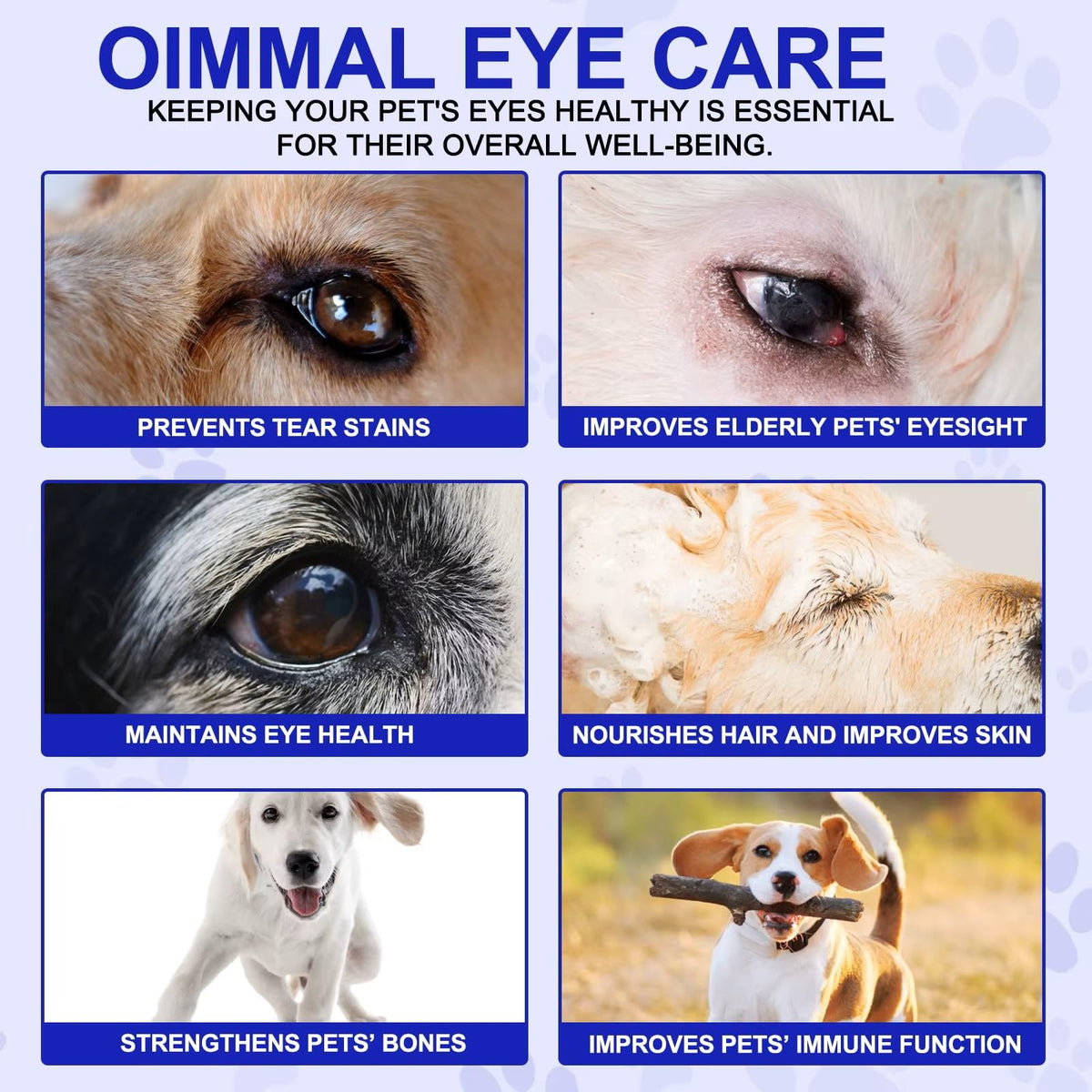 Omega 3 DHA Dog Eye Health Supplements, 180 Count K2522