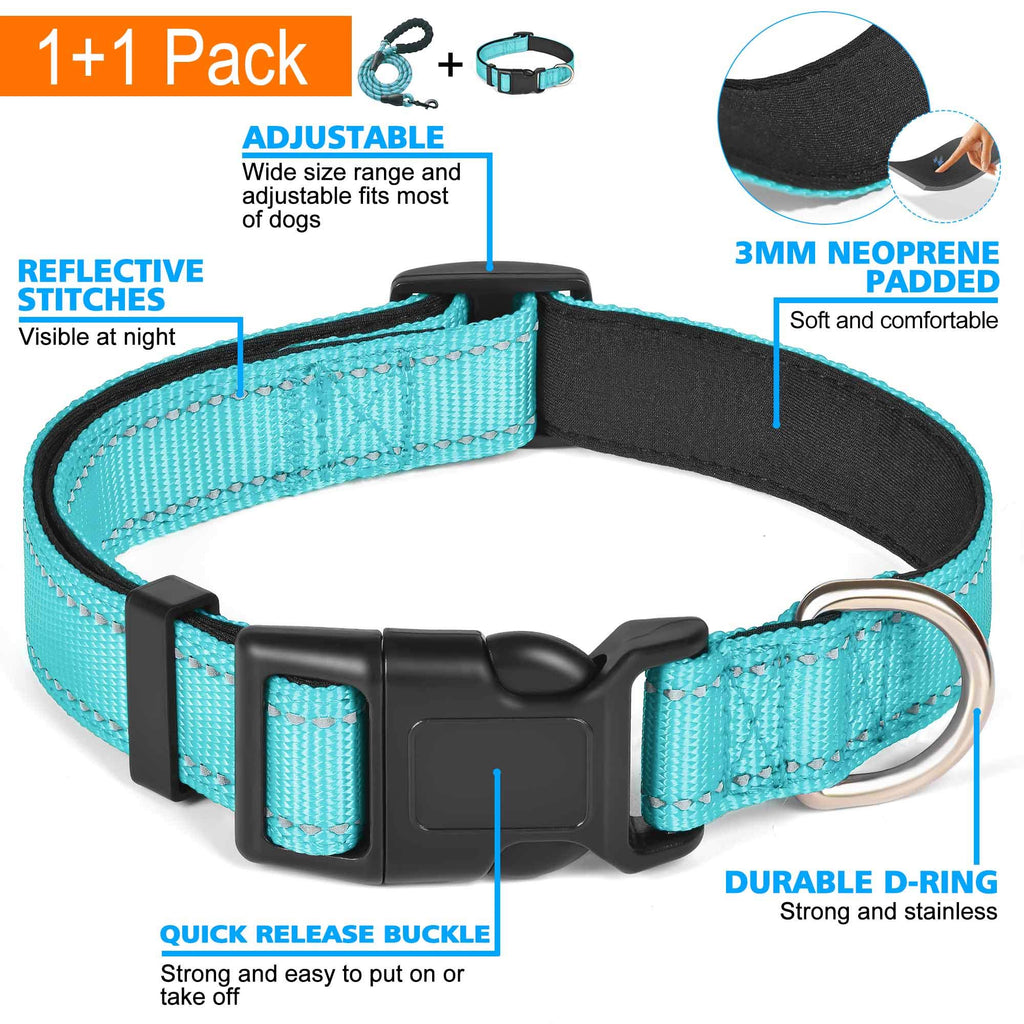 Reflective Padded Dog Collar with Neoprene, Medium, Turquoise T584