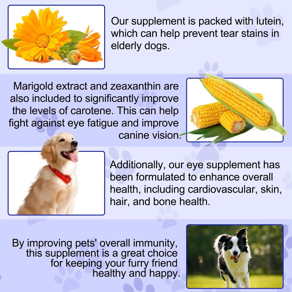 Omega 3 DHA Dog Eye Health Supplements, 180 Count K2522