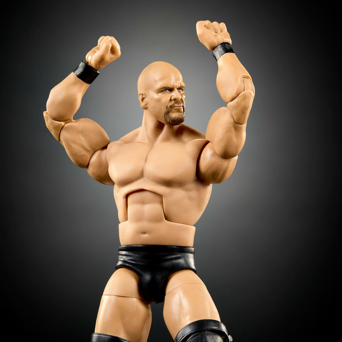 WWE Elite Collection Action Figure & Accessories G546
