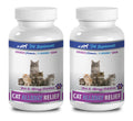 Cat Skin and Coat Supplement Chewable Tablets S353189