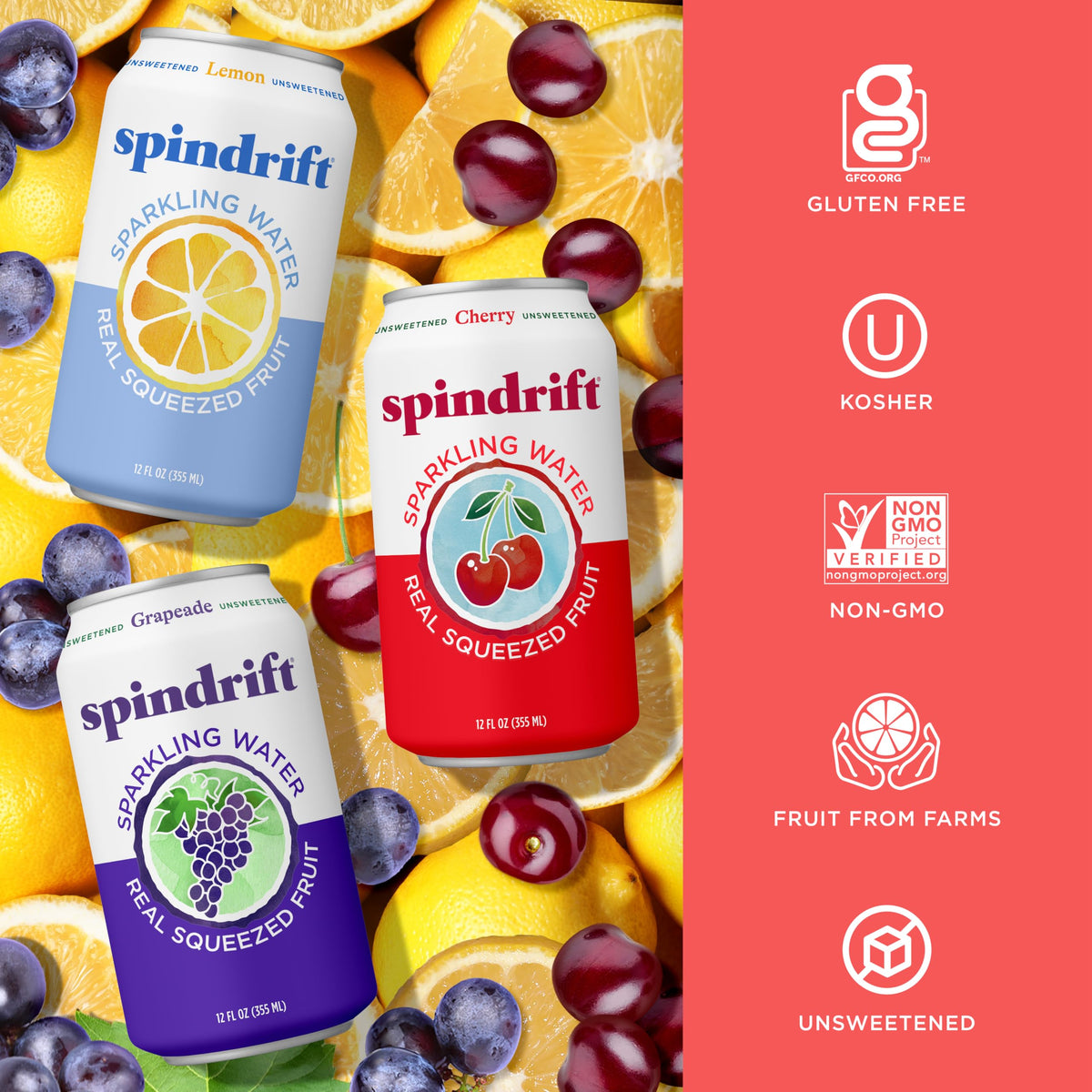 Sparkling Water Variety Pack 12 Fl Oz Cans Pack of 24 X5808