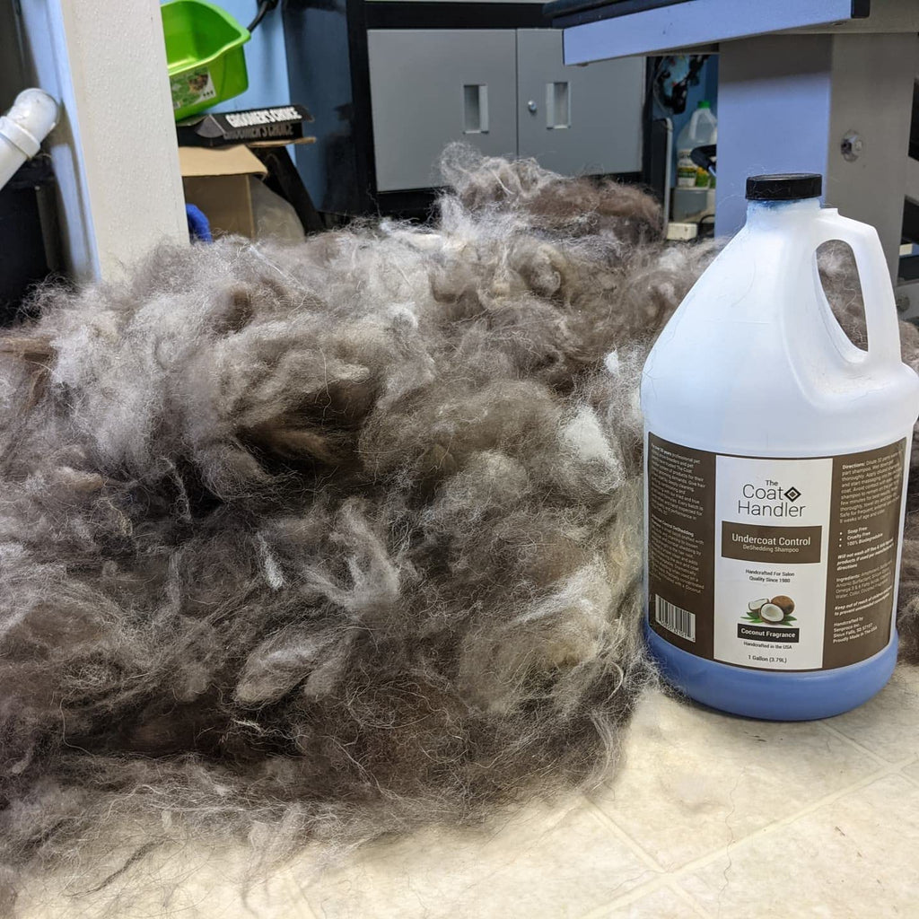 1 Gallon Deshedding Dog Shampoo G450543