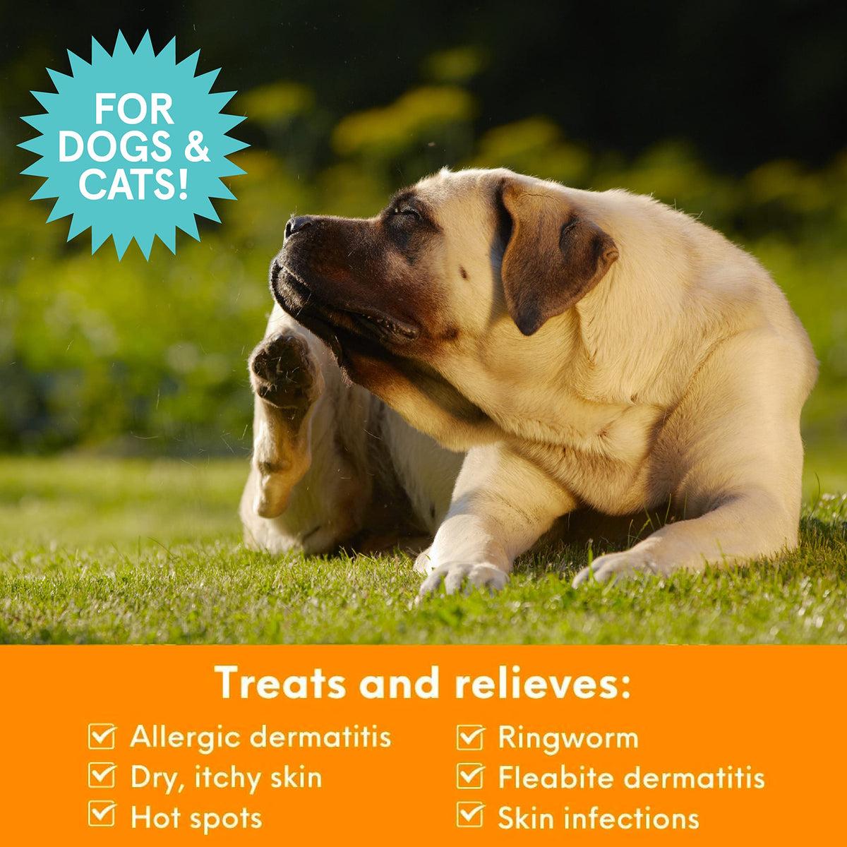 Medicated Chlorhexidine Dog Shampoo 16oz G677
