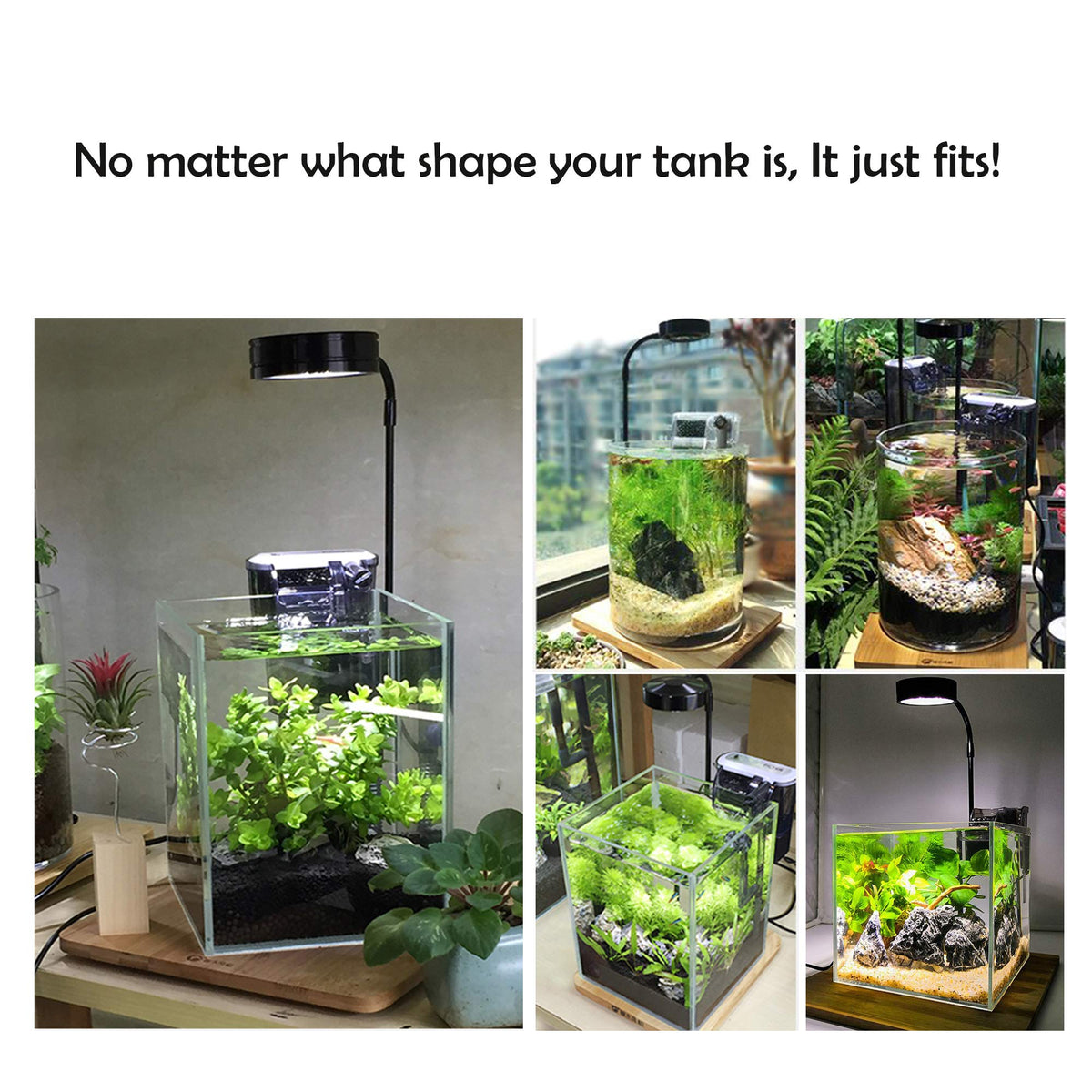 Full Spectrum LED Light with Bamboo Board 5W K9766