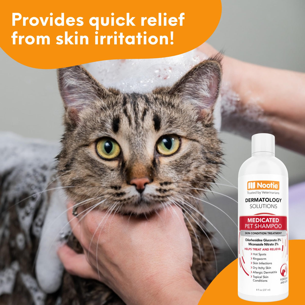 Medicated Chlorhexidine Dog Shampoo 16oz G677